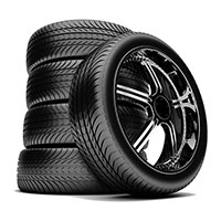 S.N. Trading Company (Pvt.) Ltd.